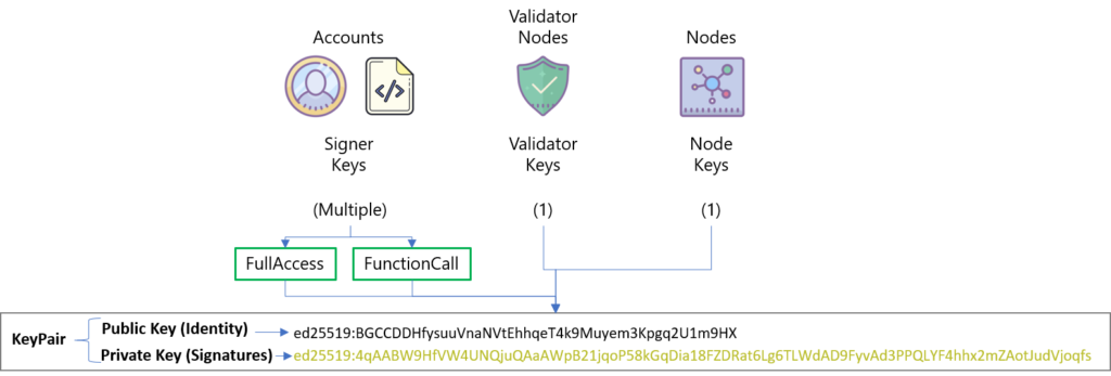 Understanding NEAR Keys - Vital Point AI